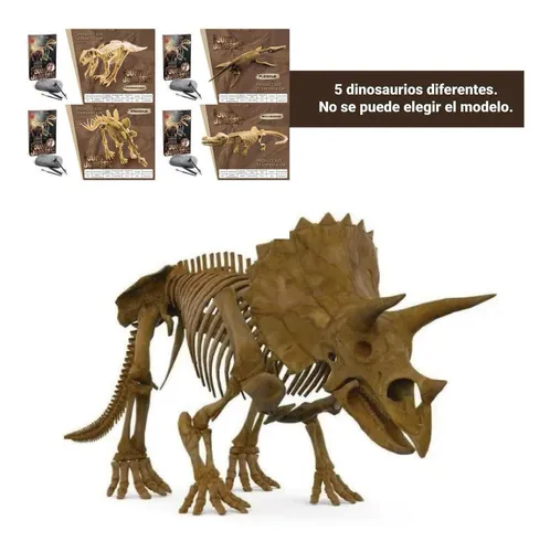 Juego Kit De Herramientas Arqueología Dinosaurios Para Niños